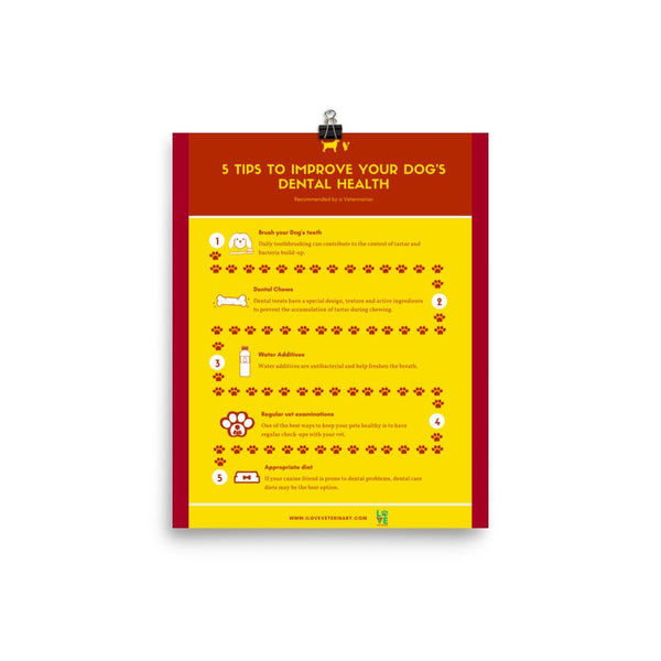 5 Tips to improve your dog’s dental health Poster-Posters-I love Veterinary