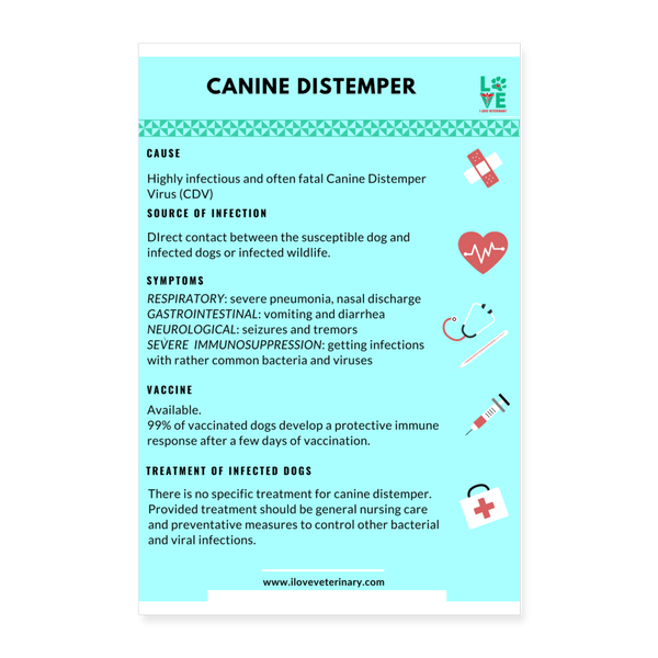 Canine Distemper Poster 8x12-Posters-I love Veterinary