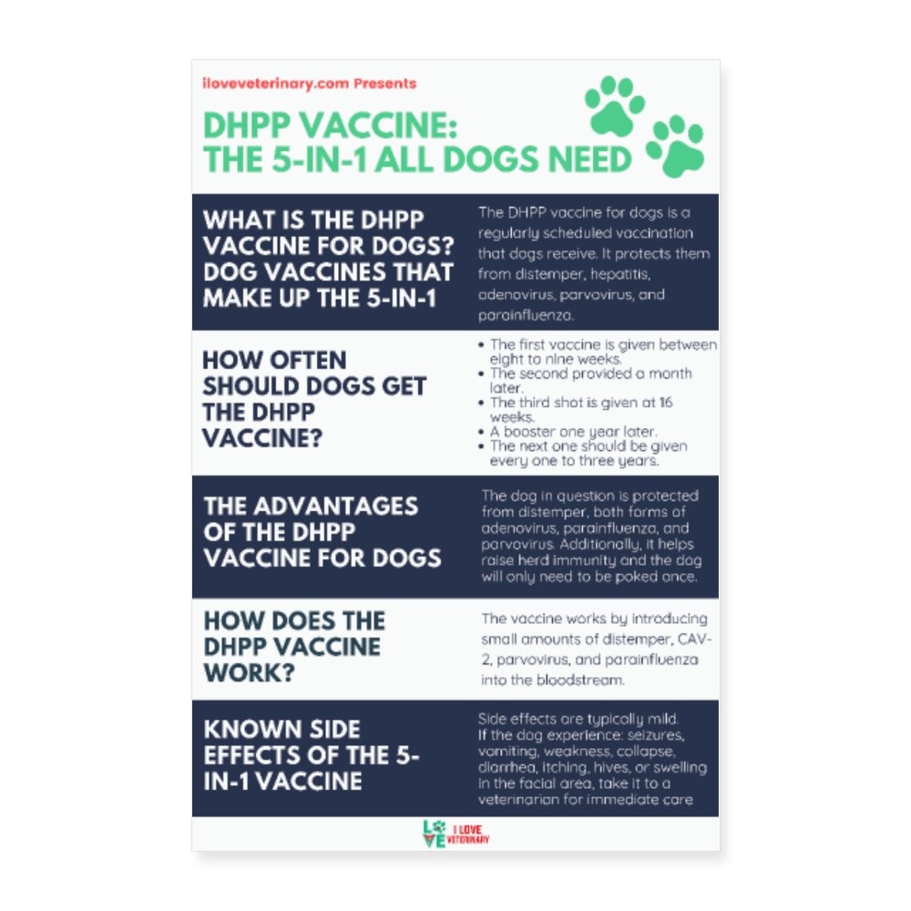 What the DHLPP vaccine is