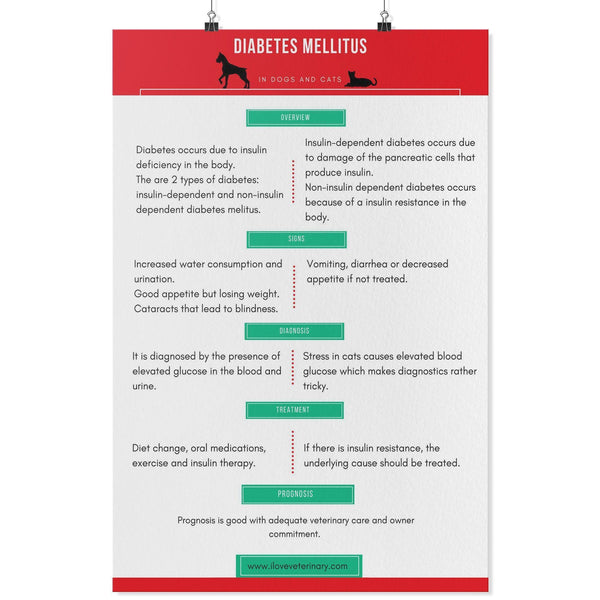 Diabetes Mellitus Poster-Posters-I love Veterinary