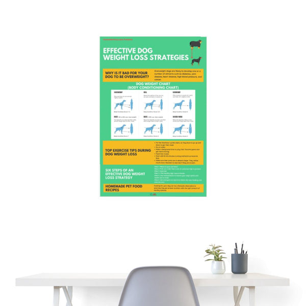 Effective Dog Weight Loss Strategies Poster-Posters-I love Veterinary