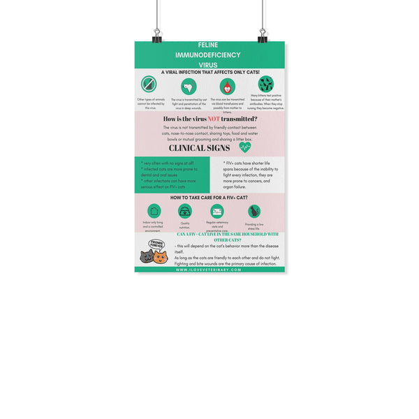 Feline Immunodeficiency Virus Poster-Posters-I love Veterinary