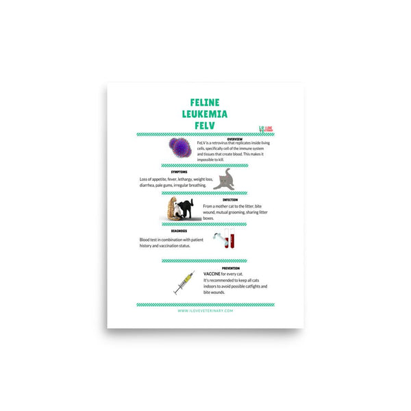 Feline Leukemia FELV Poster-Posters-I love Veterinary