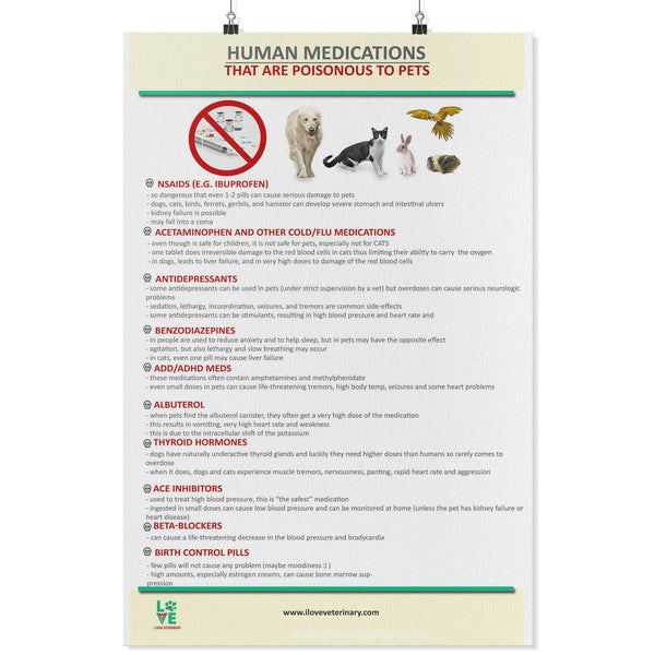 Human Medications that are Poisonous to Pets Poster-Posters-I love Veterinary