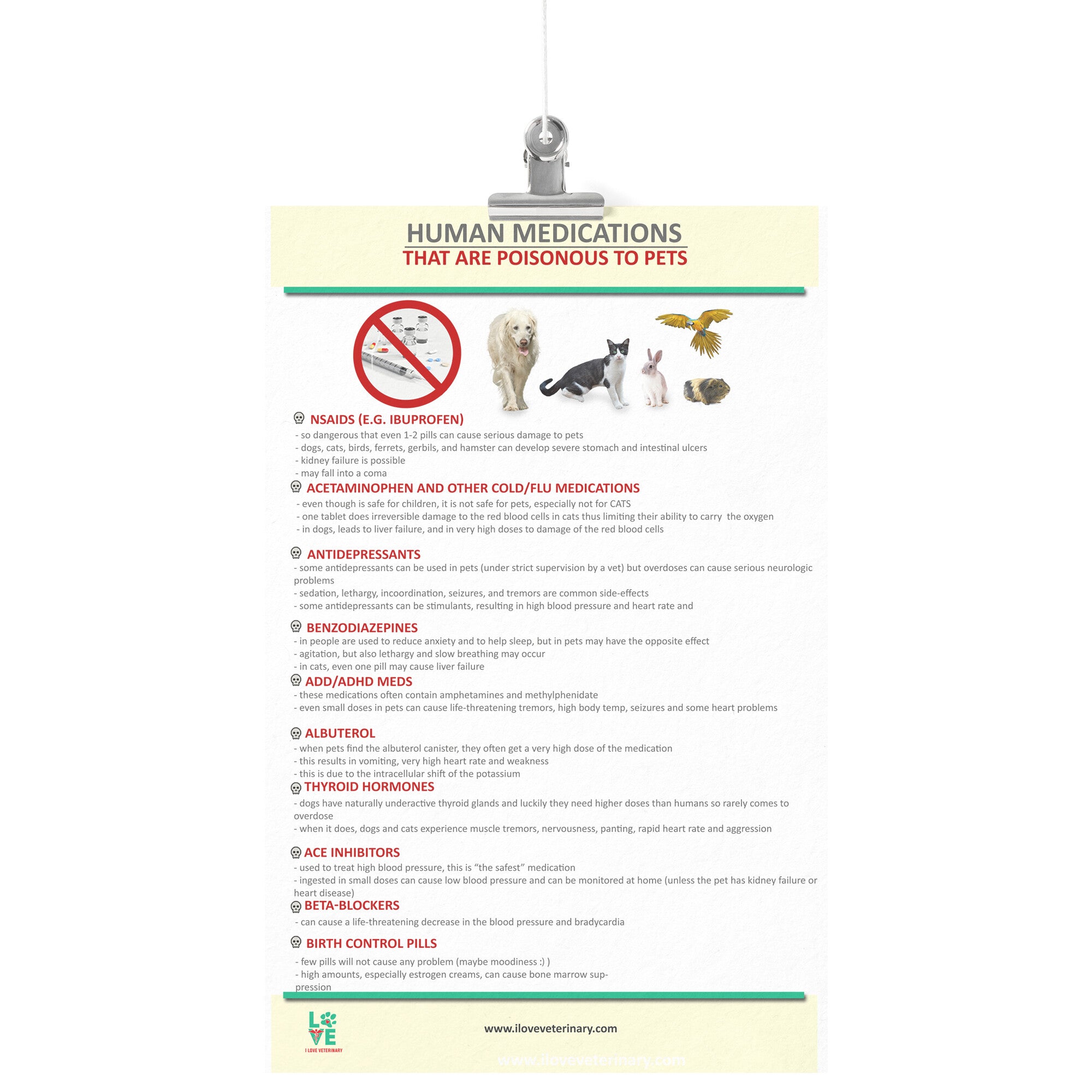 Human Medications that are Poisonous to Pets Poster – I love 