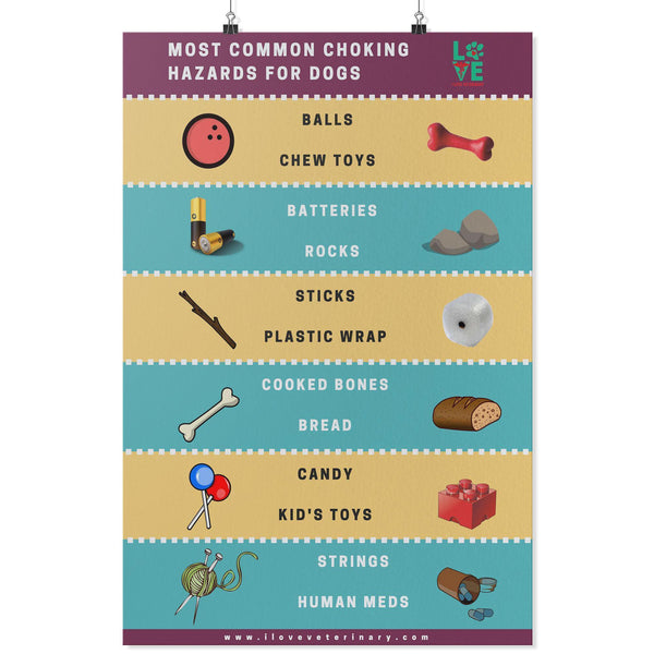 Most Common Choking hazards for dogs Poster-Posters-I love Veterinary