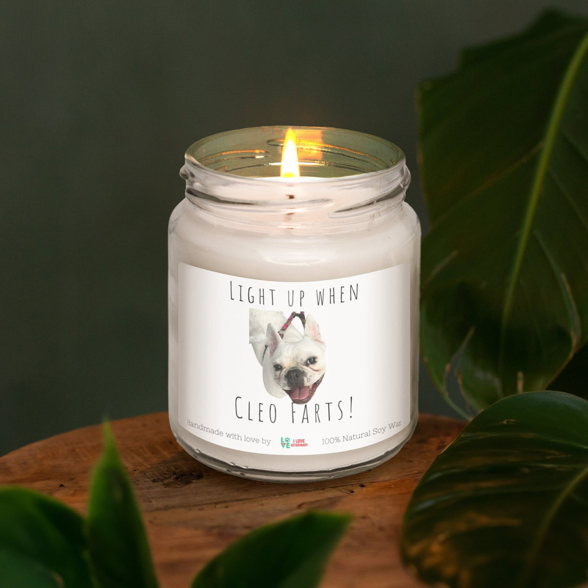 Pet Farts Personalized with Photo and Text - Scented Soy Candle-Candles-I love Veterinary
