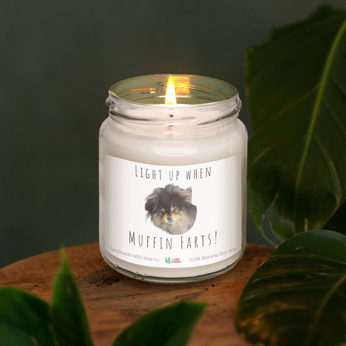 Pet Farts Personalized with Photo and Text - Scented Soy Candle-Candles-I love Veterinary