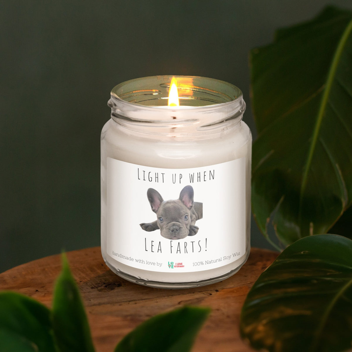Pet Farts Personalized with Photo and Text - Scented Soy Candle-Candles-I love Veterinary
