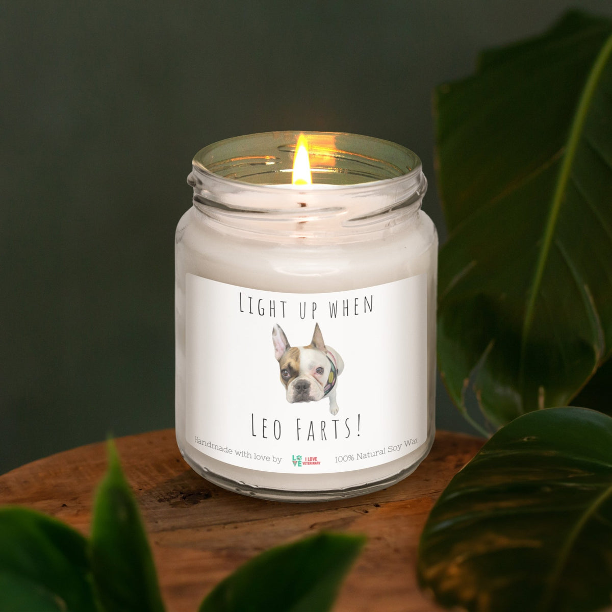 Pet Farts Personalized with Photo and Text - Scented Soy Candle-Candles-I love Veterinary