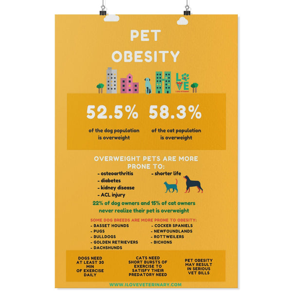 Pet Obesity Poster-Posters-I love Veterinary