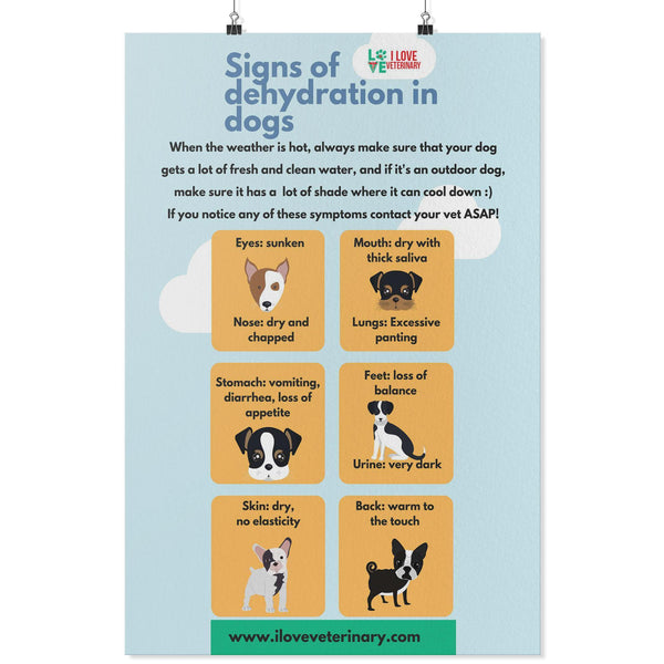 Signs of Dehydration in Dogs Poster-Posters-I love Veterinary