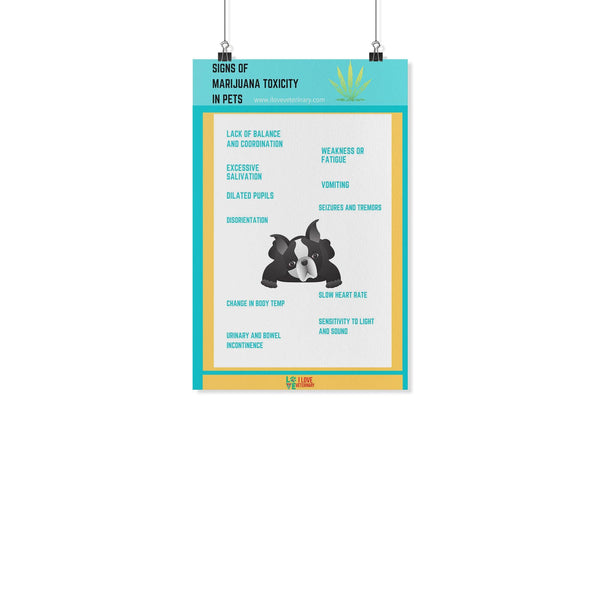 Signs of Marijuana Toxicity in Pets Poster-Posters-I love Veterinary