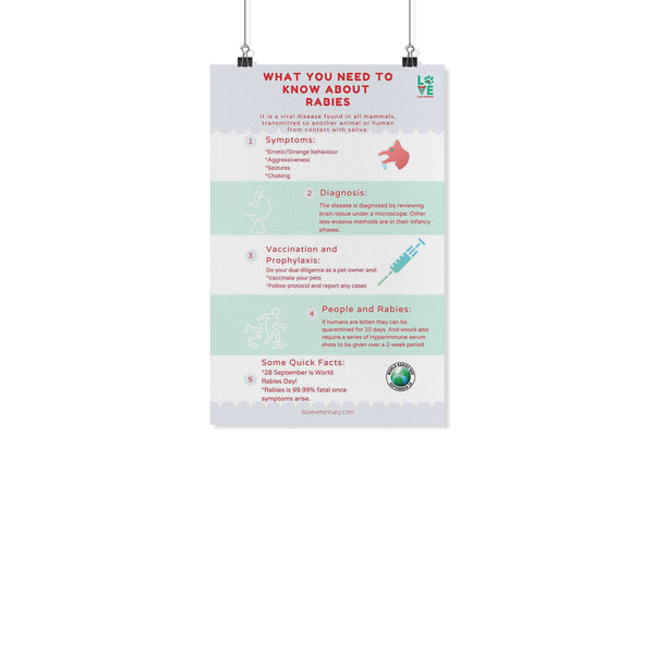 What you need to know about Rabies Poster-Posters-I love Veterinary