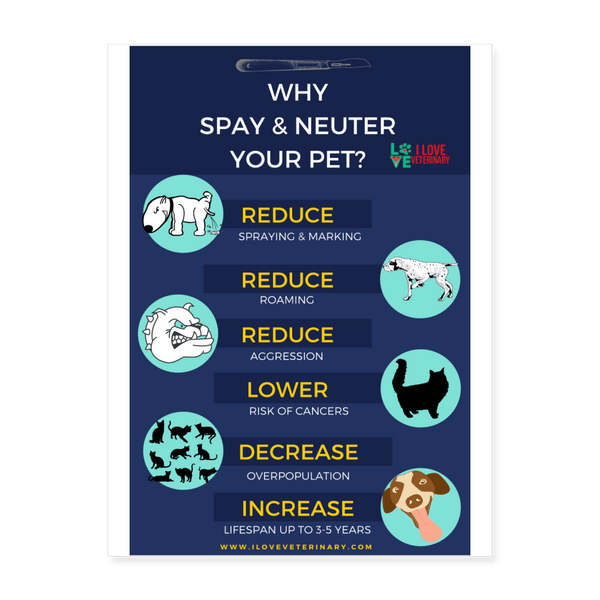 Why spay and neuter your pet Poster 18x24-Posters-I love Veterinary