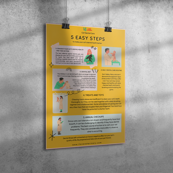 5 Easy steps to improve dental care in cats Poster 12x18-Poster-I love Veterinary