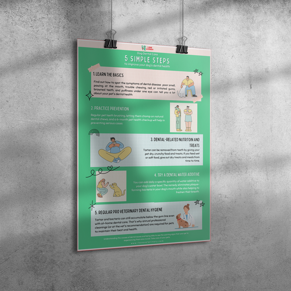 5 Steps to improve dental care in dogs Poster 12x18-Poster-I love Veterinary