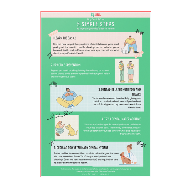 5 Steps to improve dental care in dogs Poster 12x18-Poster-I love Veterinary