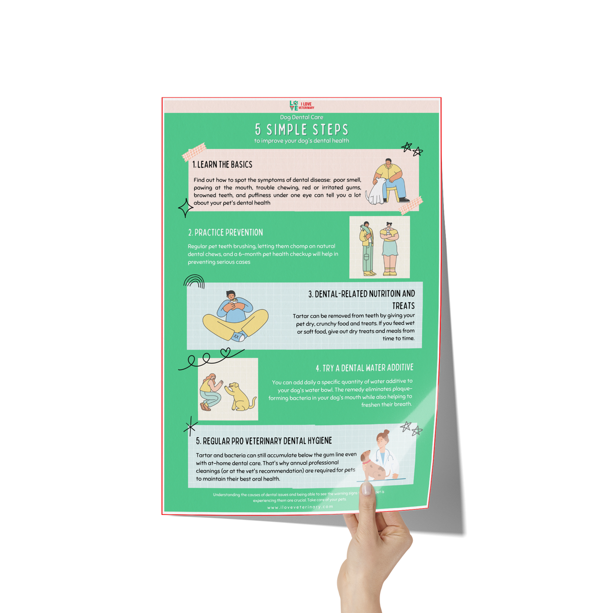 5 Steps to improve dental care in dogs Poster 12x18-Poster-I love Veterinary