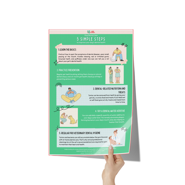 5 Steps to improve dental care in dogs Poster 12x18-Poster-I love Veterinary