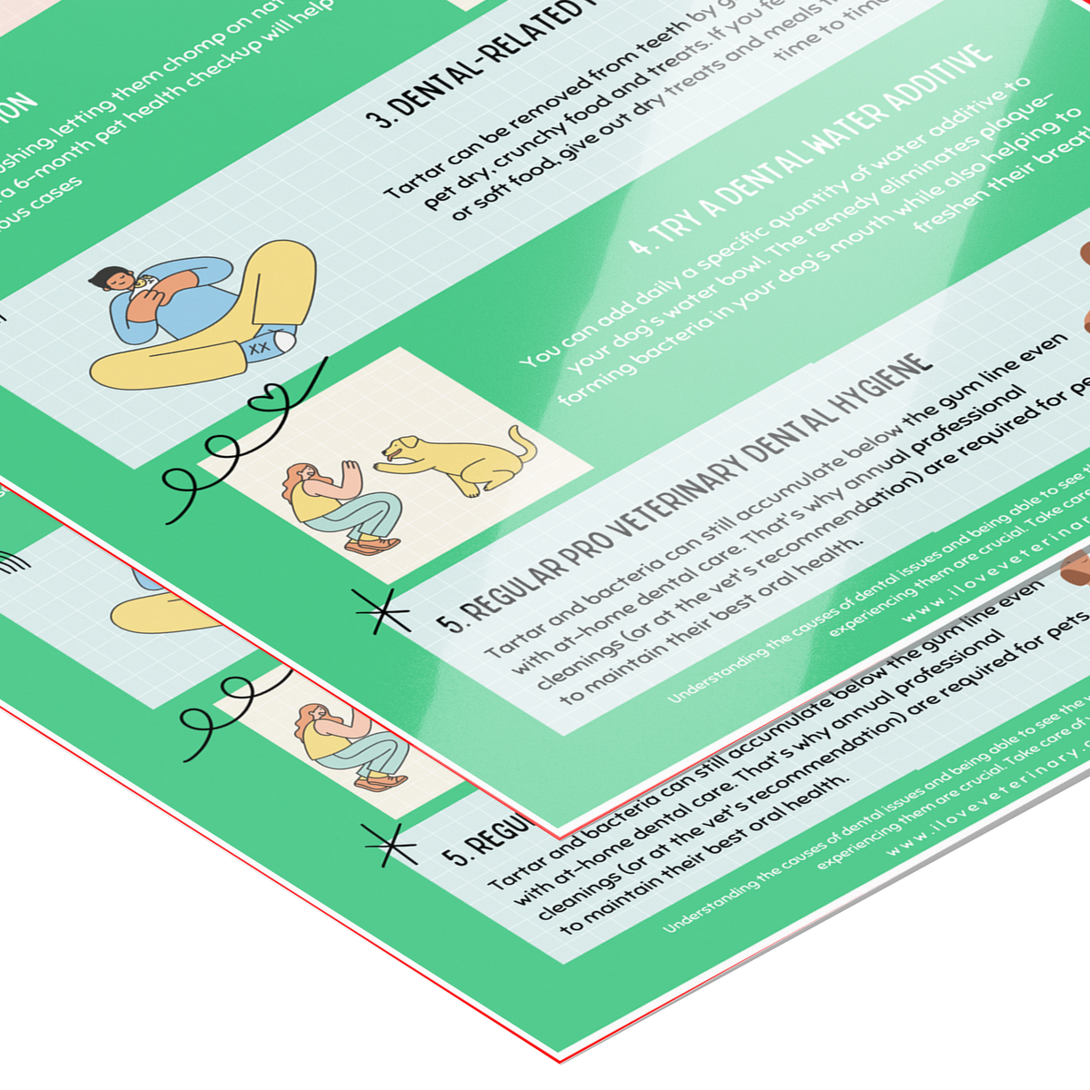 5 Steps to improve dental care in dogs Poster 12x18-Poster-I love Veterinary