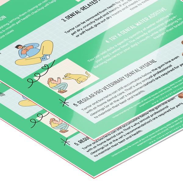 5 Steps to improve dental care in dogs Poster 12x18-Poster-I love Veterinary