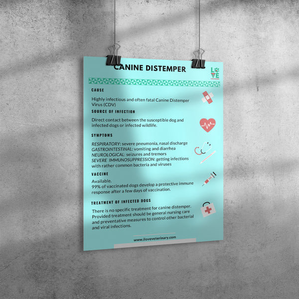 Canine Distemper Poster 18x24 Fixed-Poster-I love Veterinary