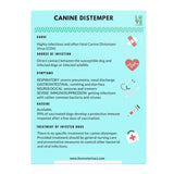 Canine Distemper Poster 18x24 Fixed-Poster-I love Veterinary