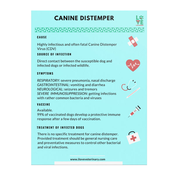 Canine Distemper Poster 18x24 Fixed-Poster-I love Veterinary
