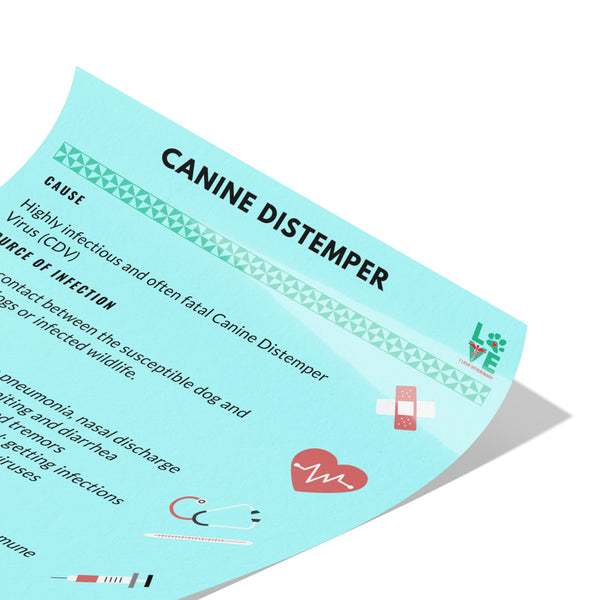 Canine Distemper Poster 18x24 Fixed-Poster-I love Veterinary
