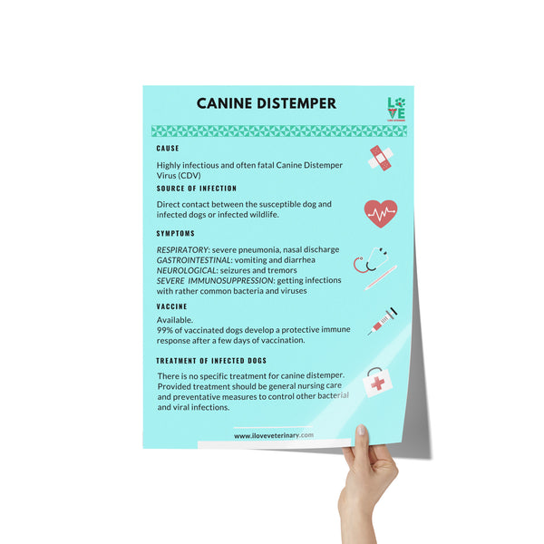 Canine Distemper Poster 18x24 Fixed-Poster-I love Veterinary
