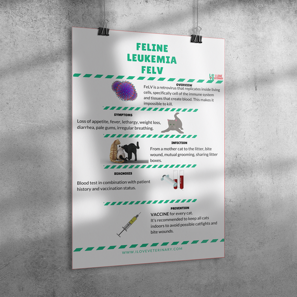 Feline Leukemia FELV Poster-Poster-I love Veterinary