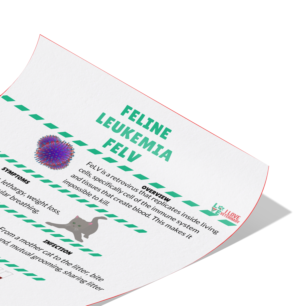 Feline Leukemia FELV Poster-Poster-I love Veterinary