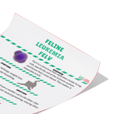 Feline Leukemia FELV Poster-Poster-I love Veterinary