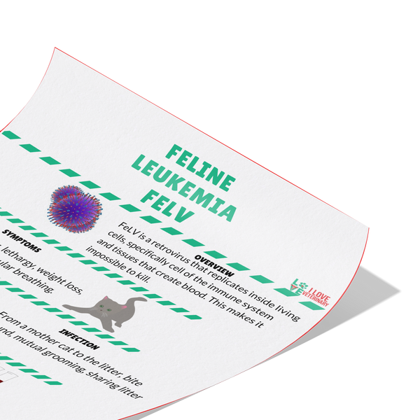 Feline Leukemia FELV Poster-Poster-I love Veterinary