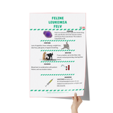 Feline Leukemia FELV Poster-Poster-I love Veterinary