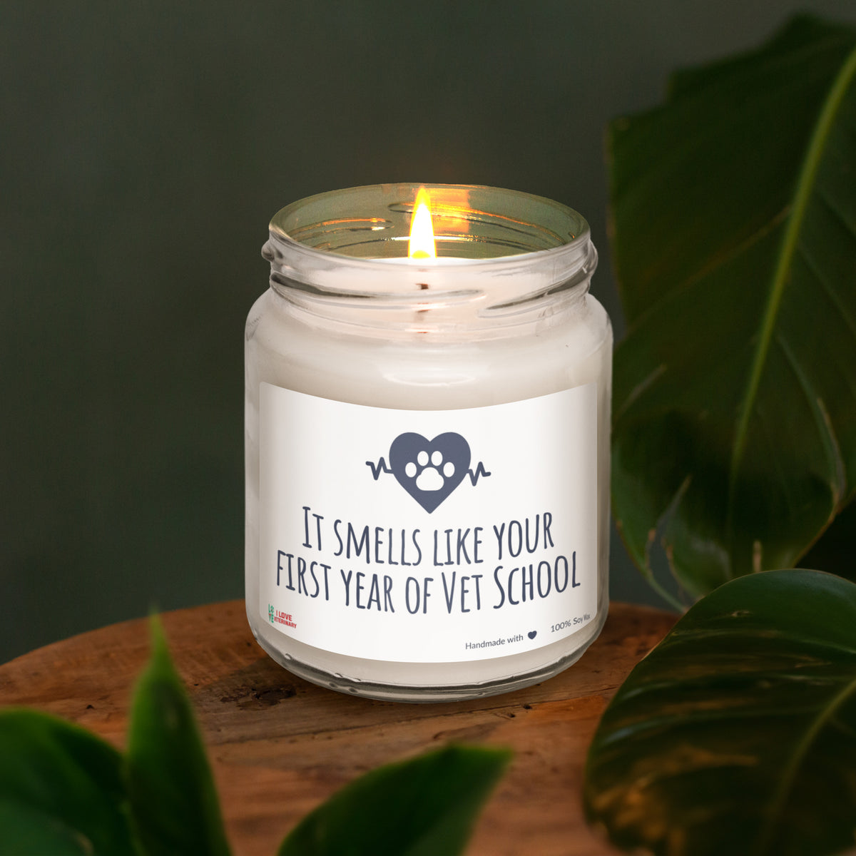 Smells like your first year of Vet School Scented Soy Candle, 8oz-Candles-I love Veterinary