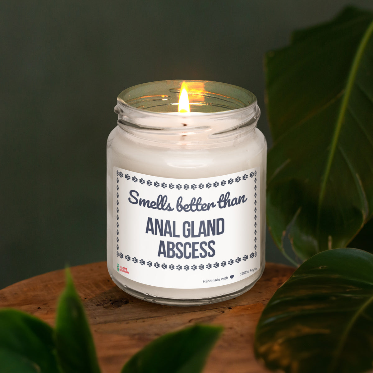 Smells better than Anal Gland Abscess Scented Soy Candle-Candles-I love Veterinary