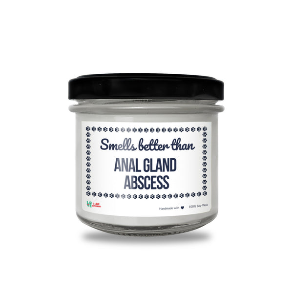 Smells better than Anal Gland Abscess Scented Soy Candle-Candles-I love Veterinary