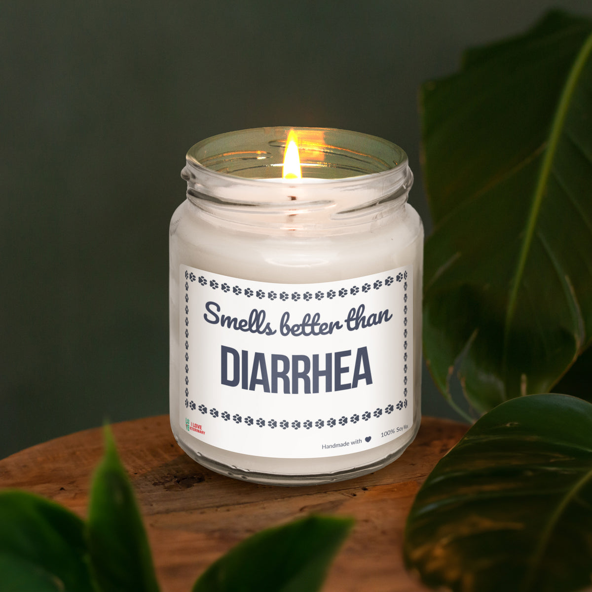 Smells better than Diarrhea Scented Soy Candle-Candles-I love Veterinary