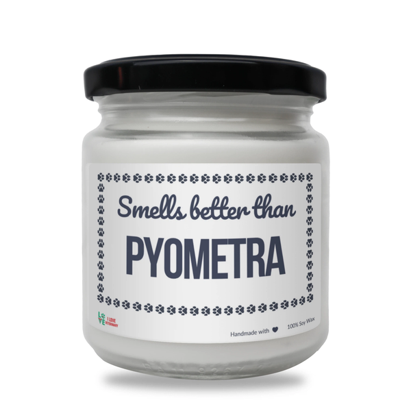 Smells better than Pyometra Scented Soy Candle-Candles-I love Veterinary