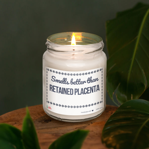 Smells better than Retained Placenta Scented Soy Candle-Candles-I love Veterinary