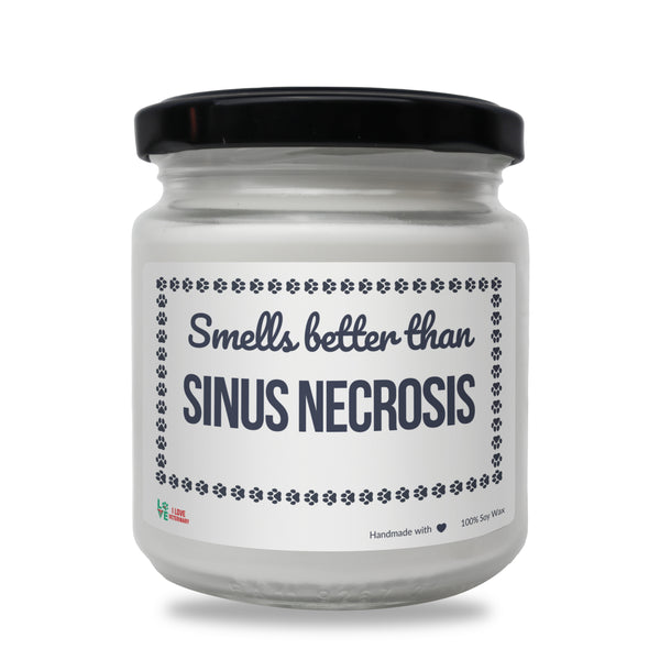 Smells better than Sinus Necrosis Scented Soy Candle-Candles-I love Veterinary