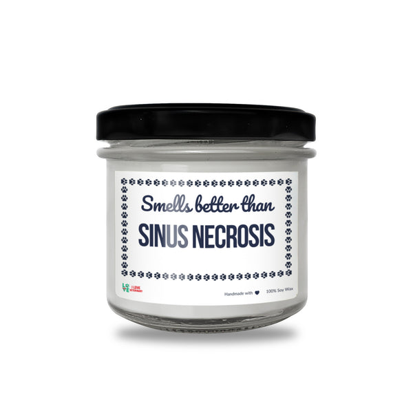 Smells better than Sinus Necrosis Scented Soy Candle-Candles-I love Veterinary