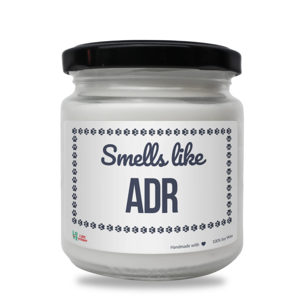 Smells better than ADR Scented Soy Candle-Candles-I love Veterinary