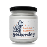 Smells like it just started yesterday Scented Soy Candle-Candles-I love Veterinary