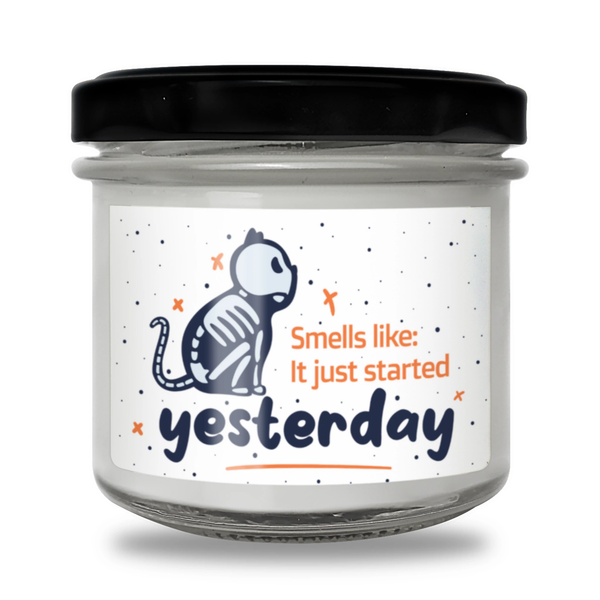 Smells like it just started yesterday Scented Soy Candle-Candles-I love Veterinary