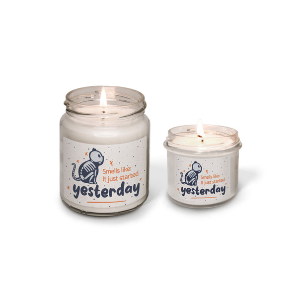 Smells like it just started yesterday Scented Soy Candle-Candles-I love Veterinary