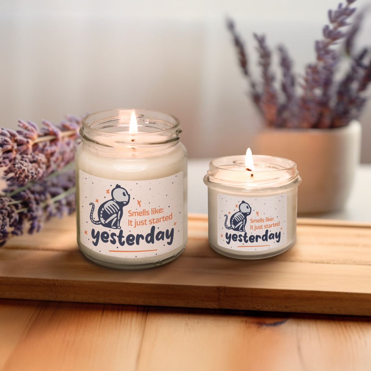 Smells like it just started yesterday Scented Soy Candle-Candles-I love Veterinary