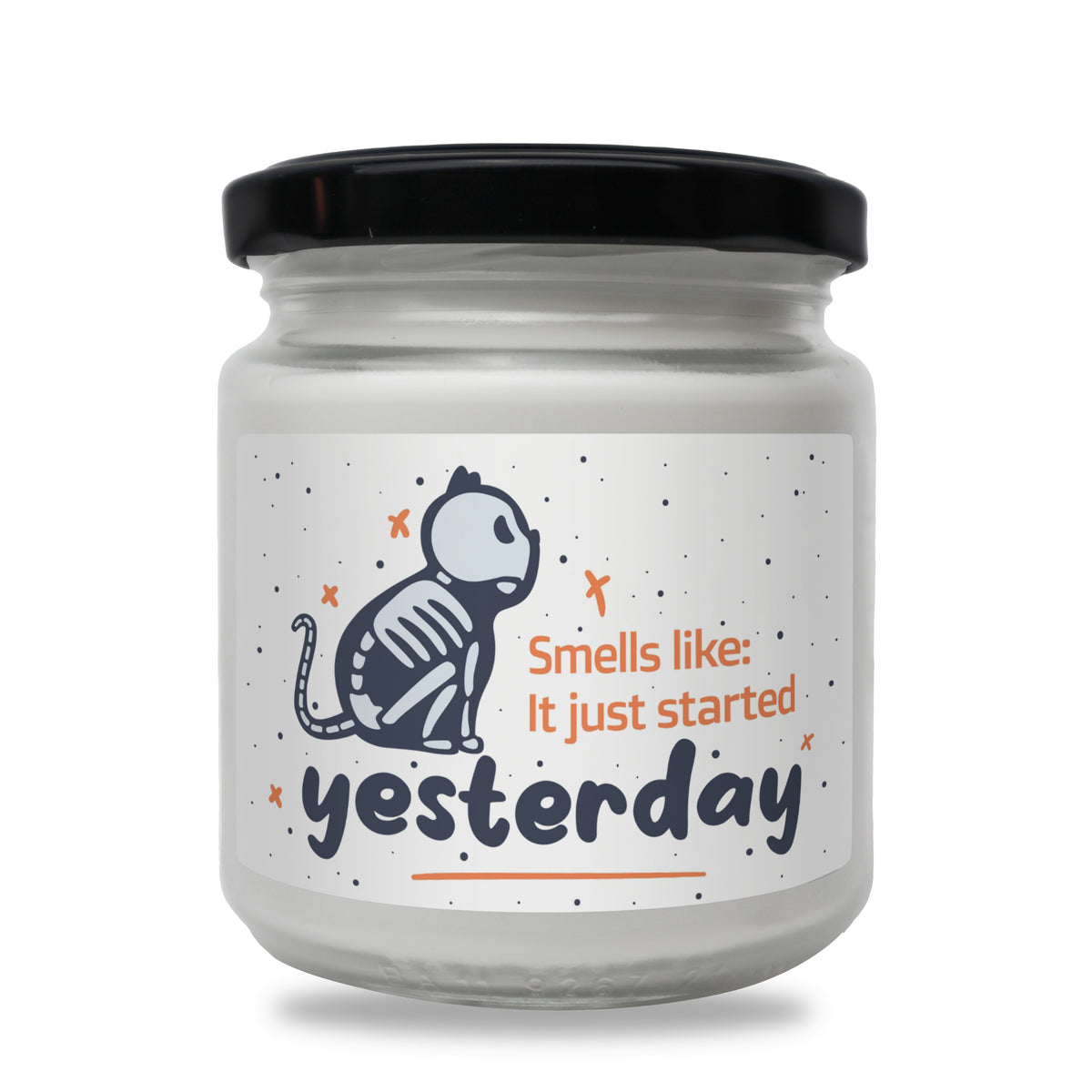 Smells like it just started yesterday Scented Soy Candle-Candles-I love Veterinary